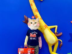 -TOYSRUS玩具反斗城(正大广场店)
