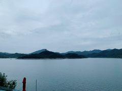 -望湖烤鱼