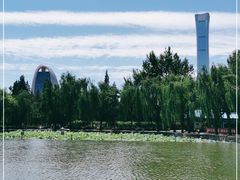 -团结湖公园