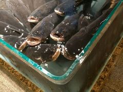 -高佳庄·海鲜酒楼(定海店)
