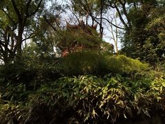 iphone_upload_pic-汇龙潭