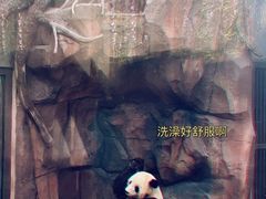 -苏州太湖国家湿地公园