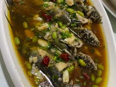 -呼吸森林·生态农庄农家乐私房菜