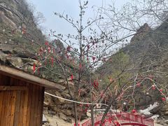 -黑龙潭风景区