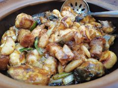 火腩焖鳝-轩记海鲜餐厅·四十五年老字号·经典粤菜(西区彩虹店)