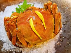 -人间采蜜(海信广场店)
