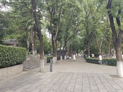 -莲湖公园