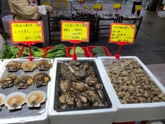 -蚝专家(北滘店)