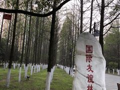 -汉口江滩-五福广场