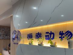 -恒幸动物医院·急重症转诊中心·神经内外科·CT核磁