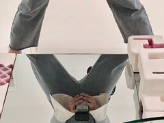 -胶囊画廊