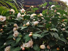 -厦门日月谷温泉渡假村