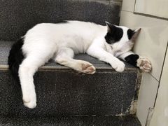 -刘信牛羊肉泡馍小炒(回民街店)