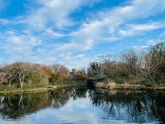 -济州森林小火车生态公园