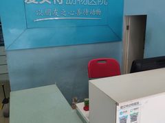 -爱贝特动物医院·猫口炎专科