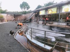 -凤阁楼果木烧鹅(鹤山陈山店)