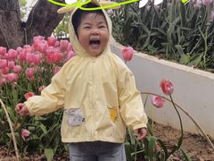 -无锡梅园公园