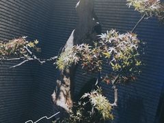 -新盈光·心院(嘉恒广场店)