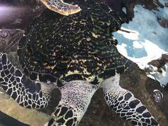 -鸿通城购物中心