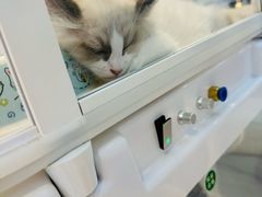 -七彩云南第壹城