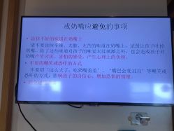 点击看大图 -爱丽宝月子中心