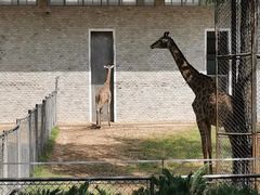 -石家庄市动物园