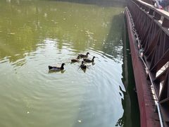 -贮水山儿童公园