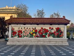 -神州牡丹园