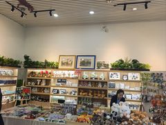 -周口店北京人遗址公园