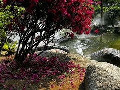 -东莞植物园