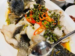 青花椒蒸龙胆鱼-闽和南(深圳万象城店)