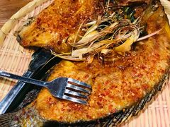 -云海肴·汽锅鸡·云南代表菜(天津国金汇店)