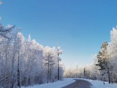 -北极村旅游风景区