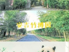 -安吉竹博园