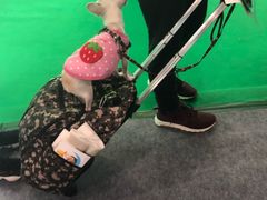 -香港会议展览中心演讲厅