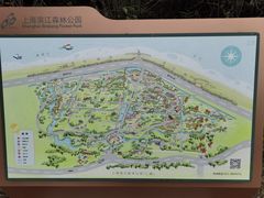 -上海滨江森林公园