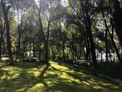 -重庆市江北嘴中央商务区中央公园