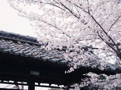 -醍醐寺