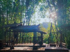 -望江楼公园