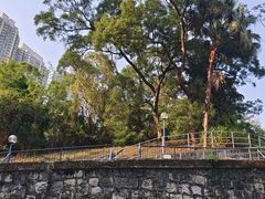 -九龙公园