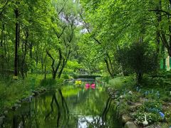 -上海共青森林公园