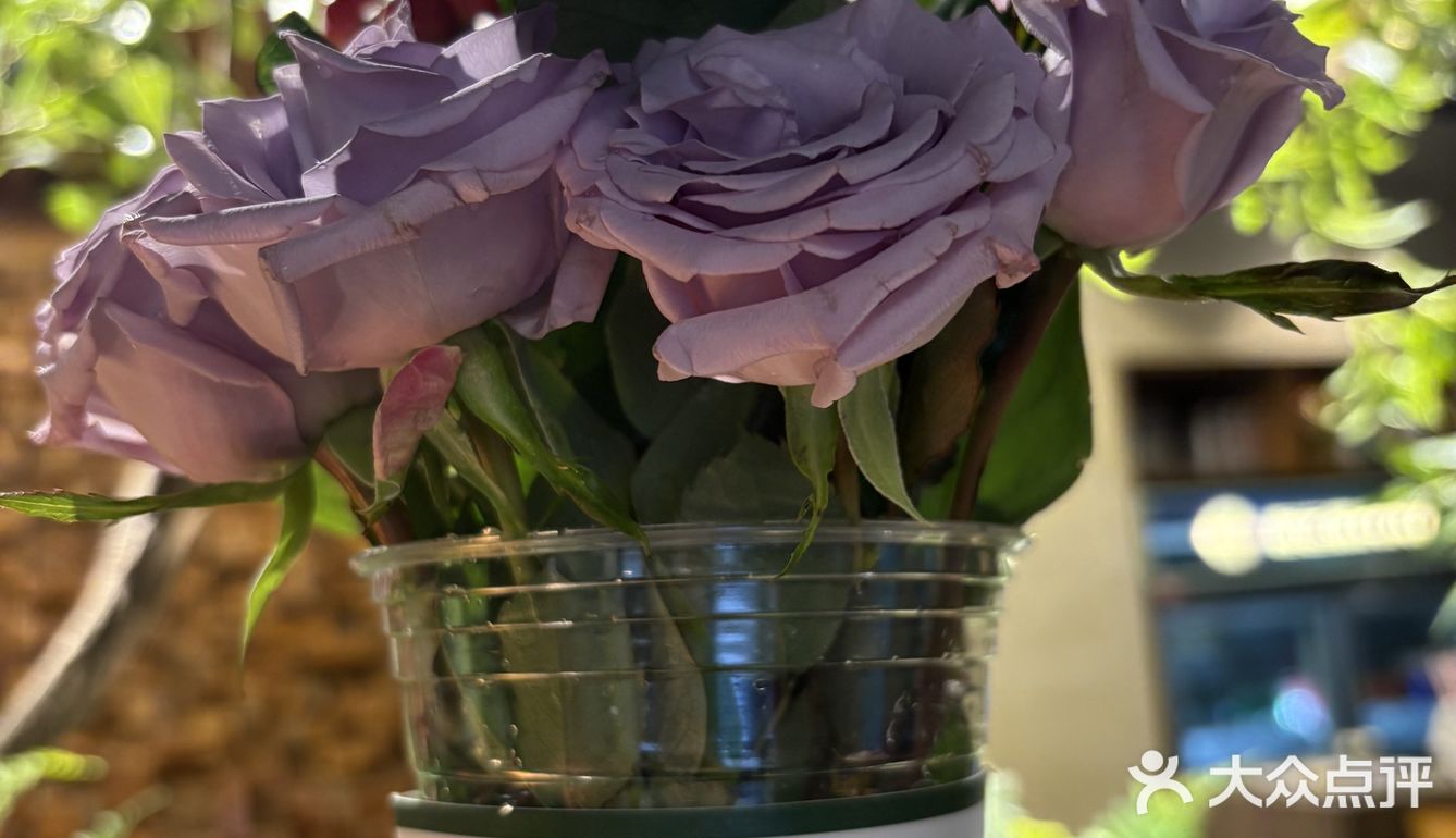 龙泉桃花节，男朋友叫我到这里约会  