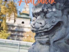 -北京石刻艺术博物馆(五塔寺)