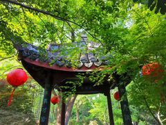 -上海醉白池公园
