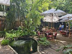 -Fern Forest Cafe
