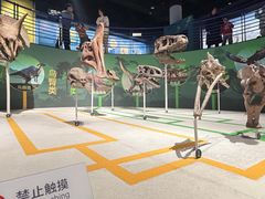 -国家自然博物馆