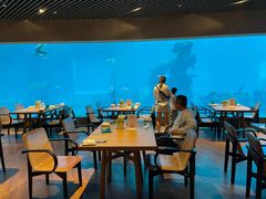 大堂-海棠湾洲际-涛·海底餐厅·美人鱼·自助餐·海底隧道