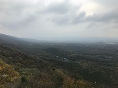 -紫金山天文台