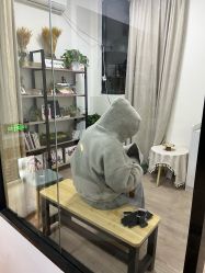 -一伽瑜伽·普拉提