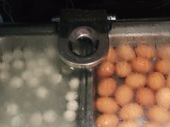 -白玉兰酒店(上海田子坊马当路地铁站店)